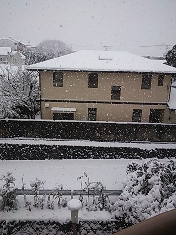 20130114snow.JPG