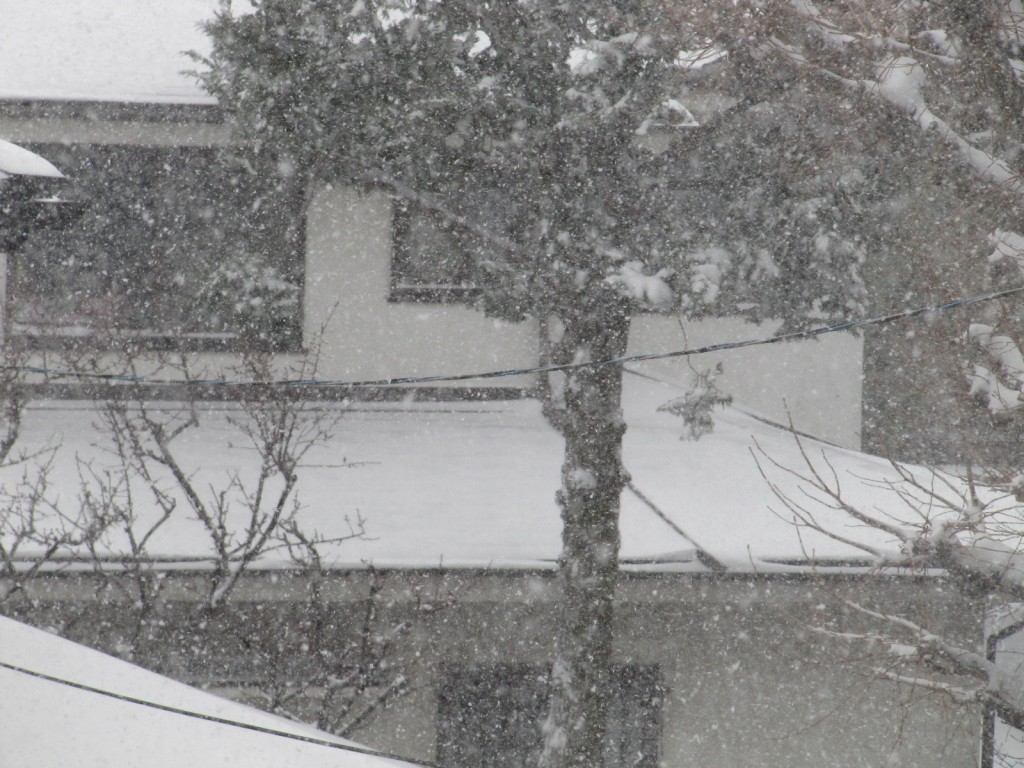 暴風雪