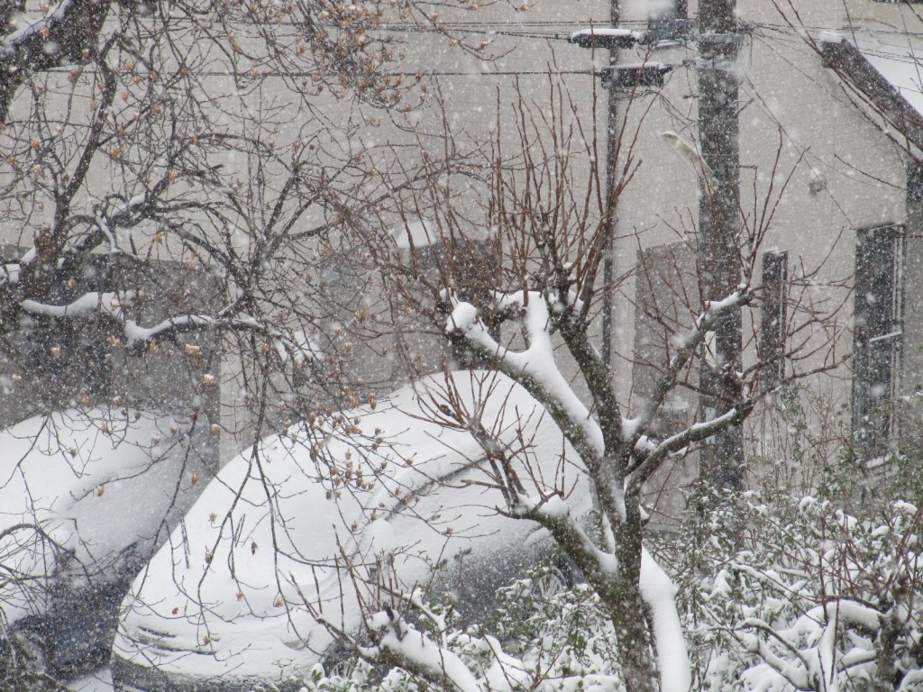 暴風雪