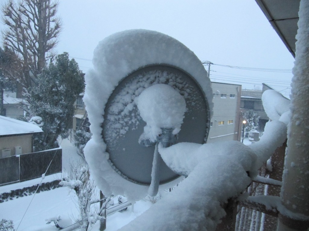 暴風雪