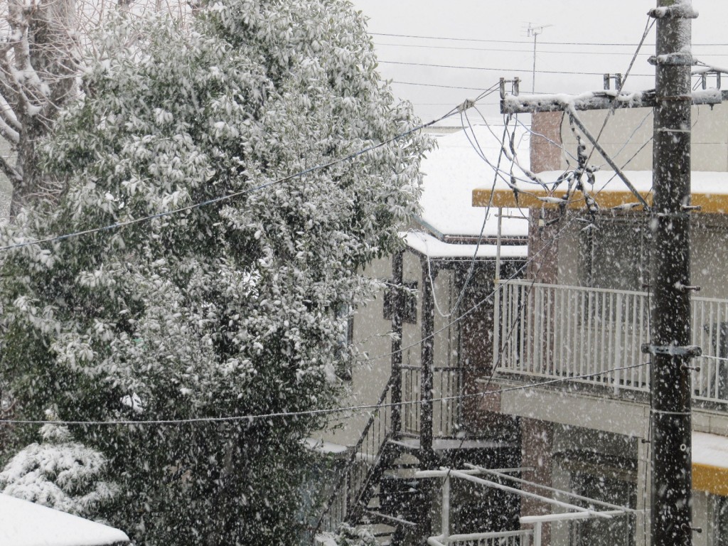 横浜の吹雪