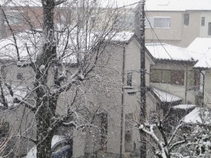 横浜の吹雪