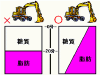 有酸素運動による脂肪燃焼