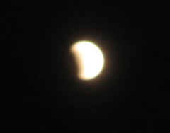 20111210gesshoku_2205.jpg