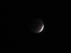 20111210gesshoku_2259.jpg