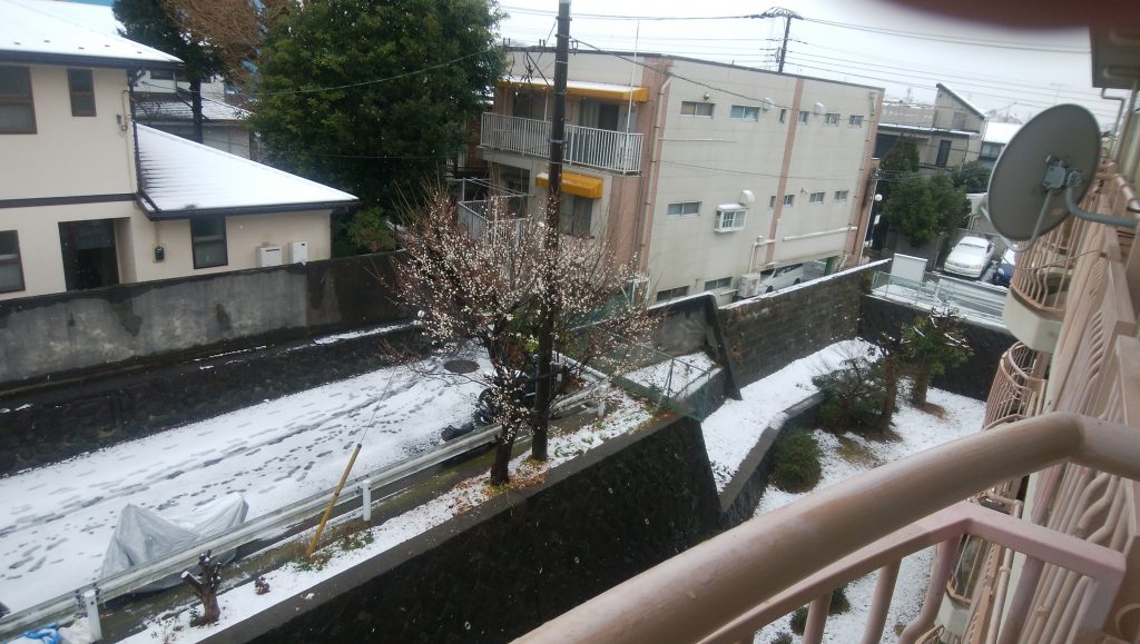 横浜の雪