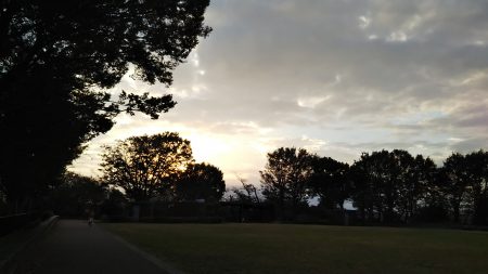 夕暮れの公園