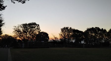 夕方の公園