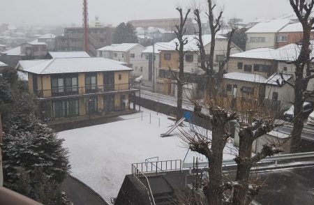 雪模様