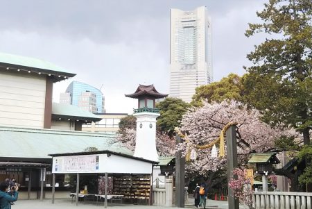 ランドマークタワーと桜