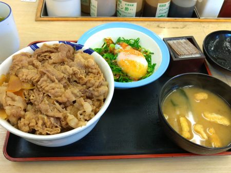 ネギたっぷり牛丼特盛り