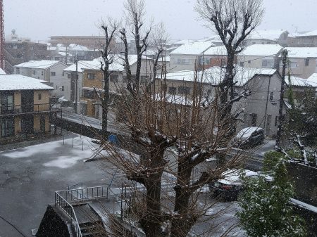 横浜の雪