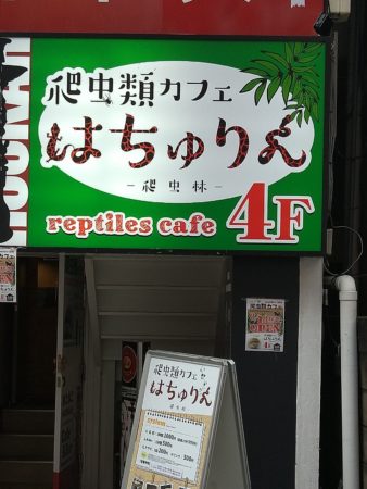 爬虫類カフェ