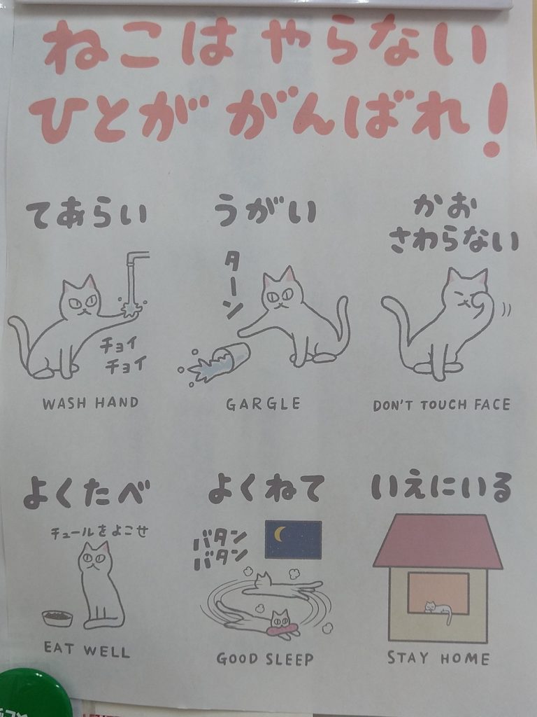 ねこはやらない ひとががんばれ！