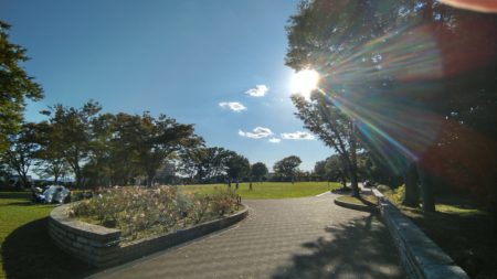 公園