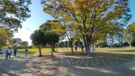 公園