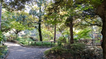 横浜公園