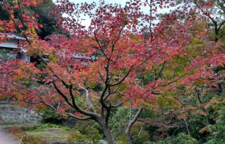 円覚寺の写真