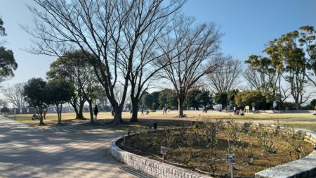 公園