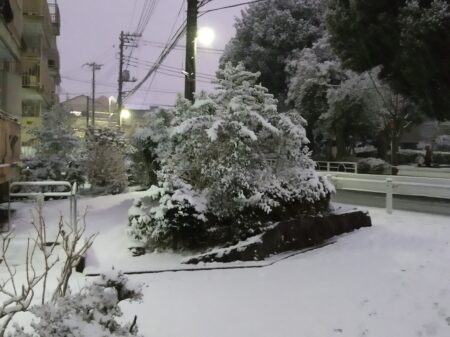 雪の横浜