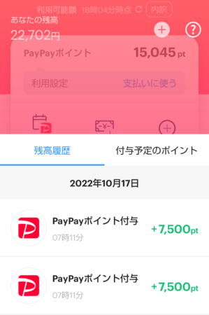 マイナポイントPayPay入金